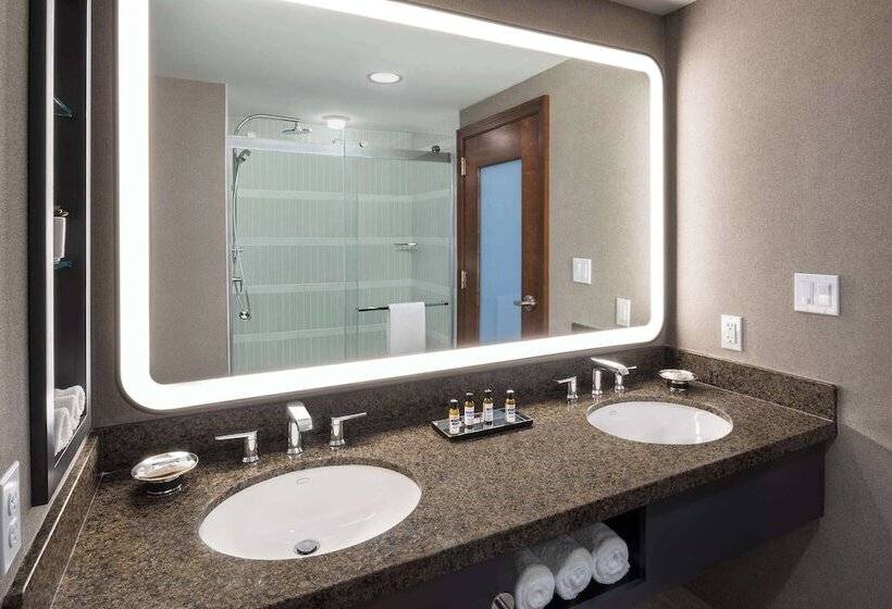 Люкс Вид на Реку, Hyatt Regency Coralville