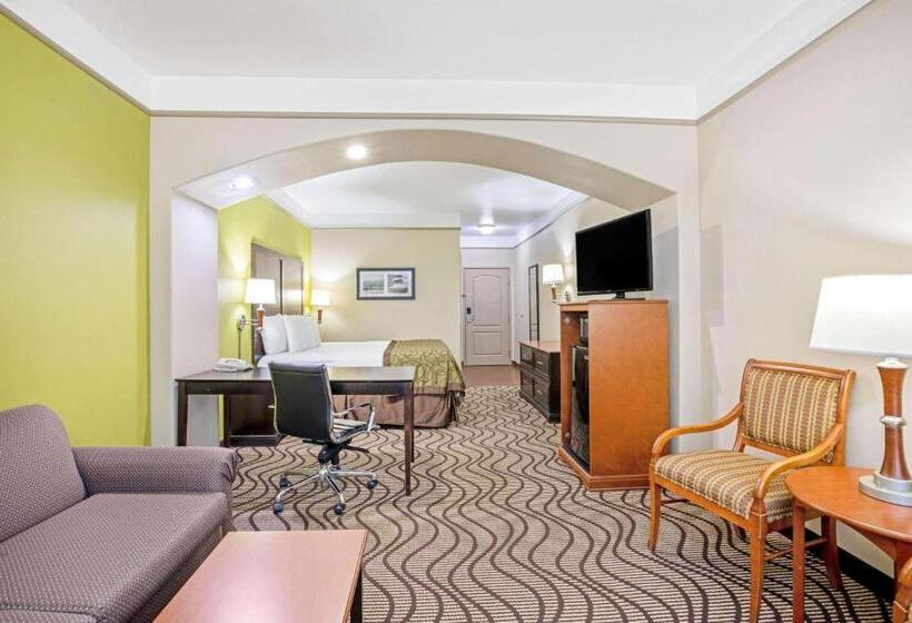 스탠다드 룸 킹사이즈 침대, La Quinta By Wyndham Corpus Christi Airport