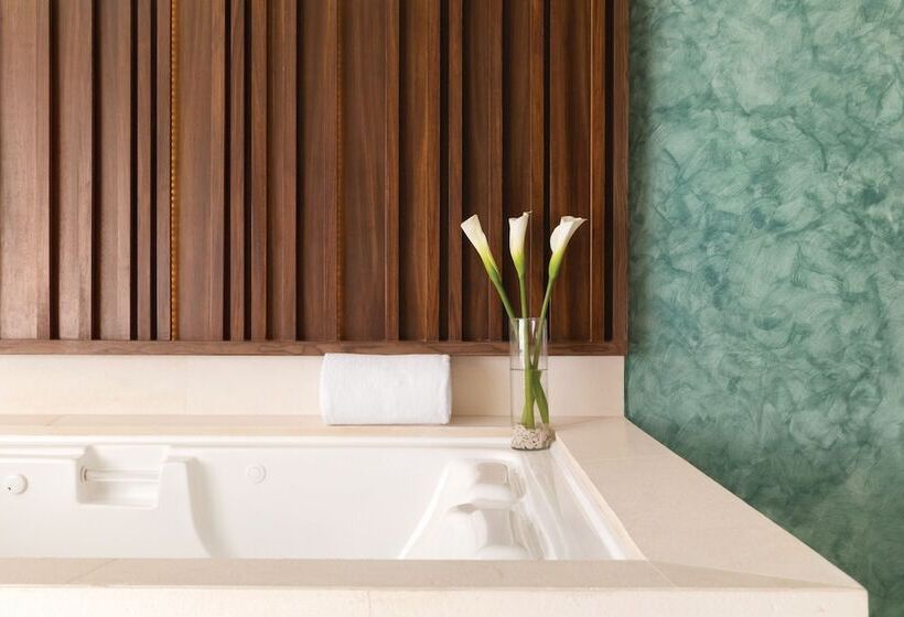 سوییت جونیور با چشم‌انداز دریا, Hilton Playa Del Carmen, An All Inclusive Adult Only Resort