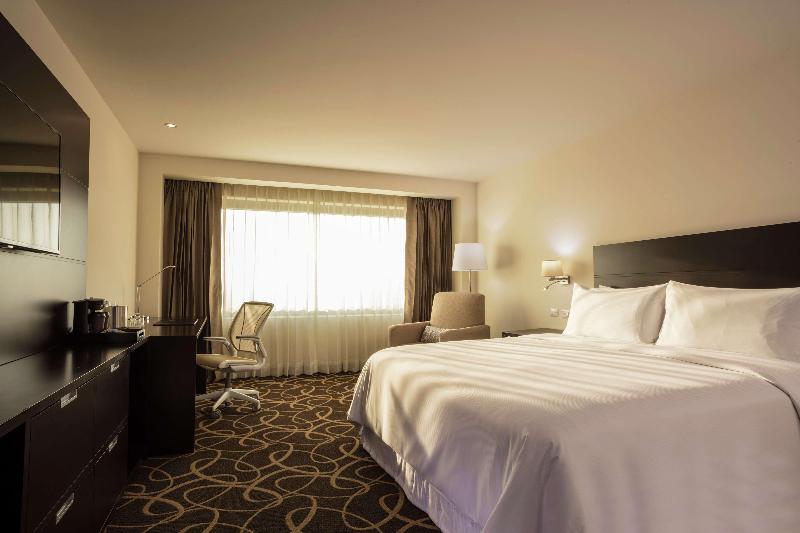 キングサイズベッドのスタンダードルーム, Doubletree By Hilton Toluca