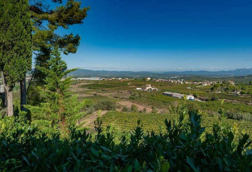 Апартаменты Deluxe 1 Спальня, Cal Mestre Casa Rural