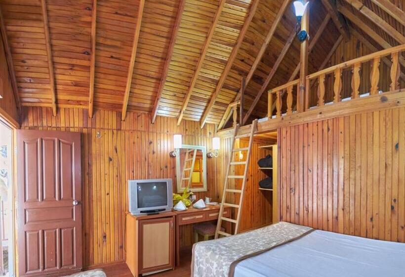 Standard Bungalow, Clover Magic Nova Beach