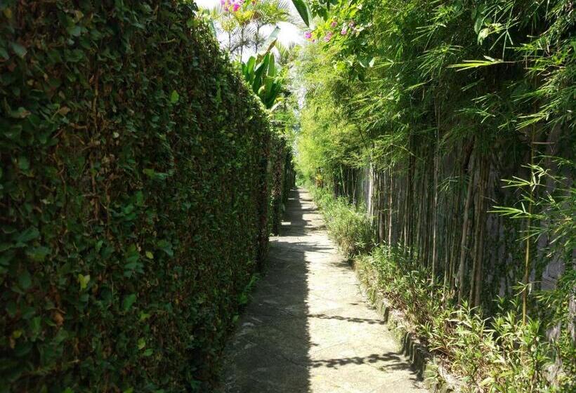 스탠다드 방갈로 정원 전망, Gajah Mina Beach Resort