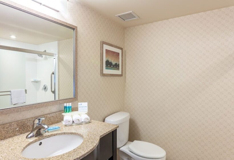 スタンダードルーム, Holiday Inn Express & Suites Riverport Richmond, An Ihg