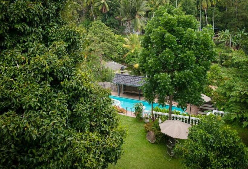 スタンダードスタジオ, Manor House Kandy