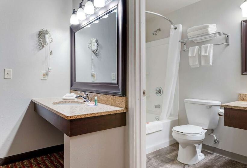Номер Стандарт 2 Двуспальные Кровати, Econo Lodge Lakeview