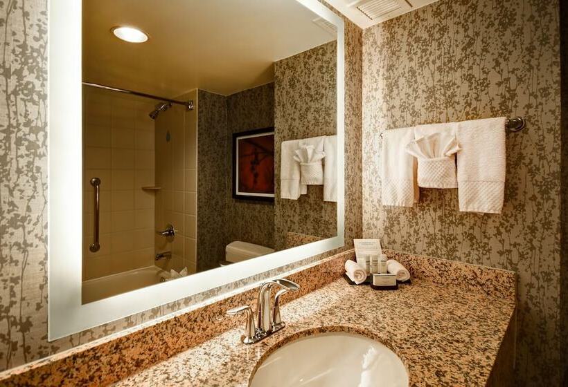 2 베드룸 프리미엄 스위트, Embassy Suites By Hilton Dulles Airport