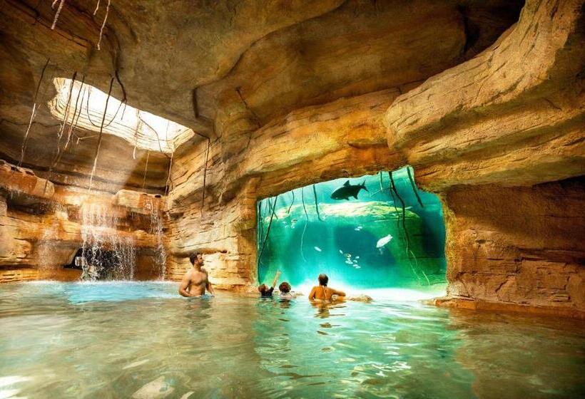 高级客房, The Coral At Atlantis