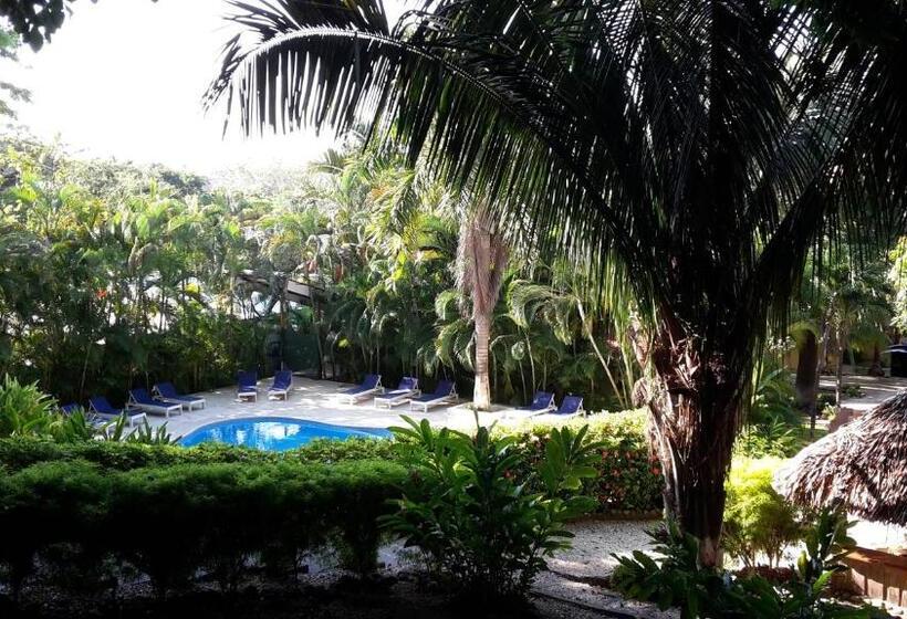수피리어 룸 풀장 전망, Esencia Hotel And Villas