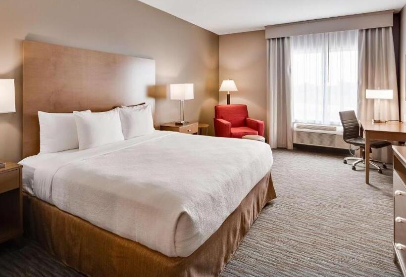 스탠다드 룸 킹사이즈 침대, Best Western Plus Jefferson