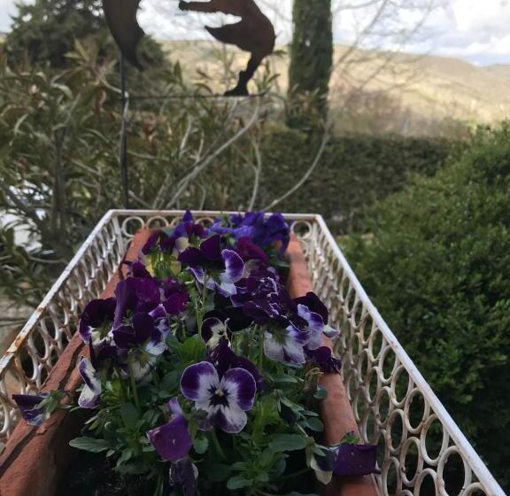 スタンダードルーム, Residenzia Del Sogno