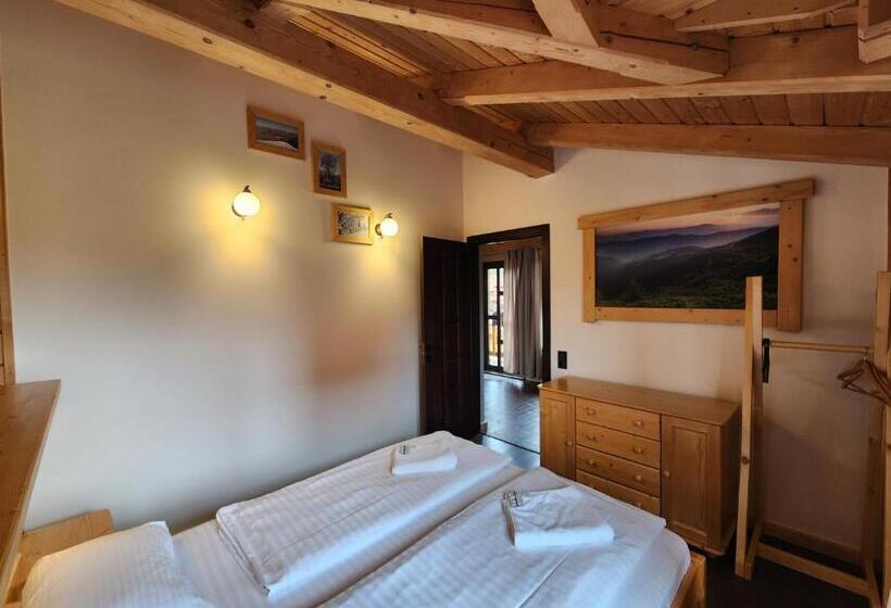Апартаменты Deluxe 1 Спальня, Apartments Chalet Girska Hatyna