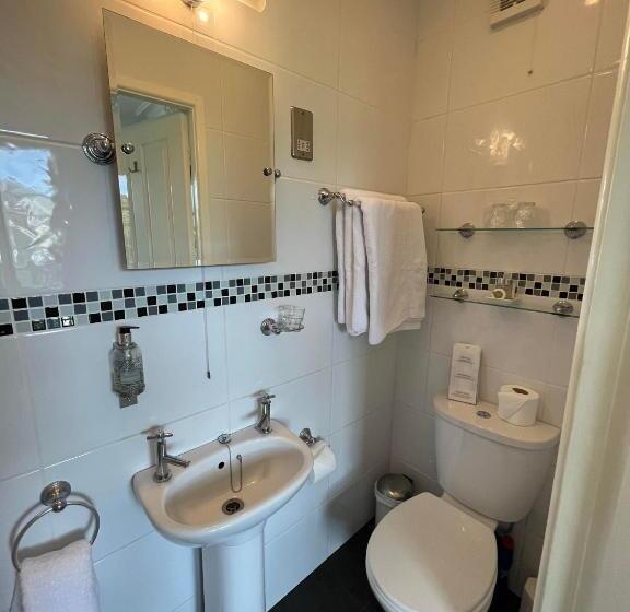 غرفة سوبيريور, Bryn Derwen Guest House