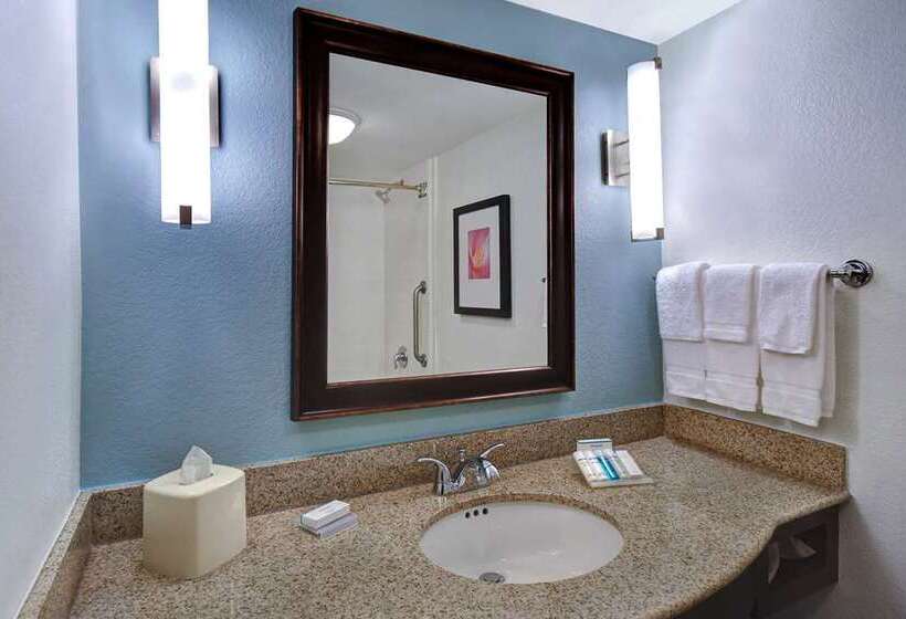 سوئیت با تخت بزرگ, Hilton Beijing Wangfujing