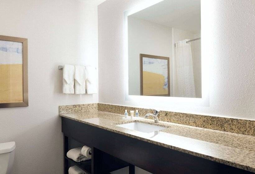 Люкс, Comfort Suites Milwaukee Airport