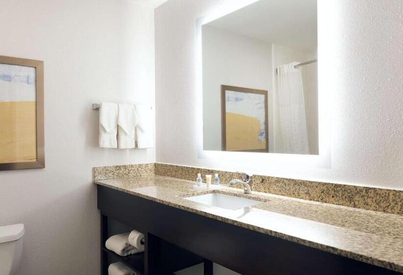 Люкс Кровать Кинг, Comfort Suites Milwaukee Airport