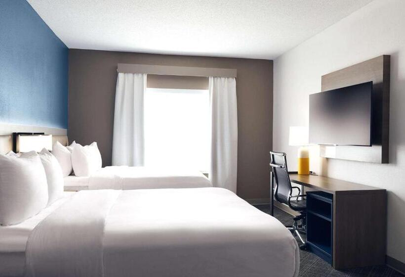 Люкс, Comfort Suites Milwaukee Airport