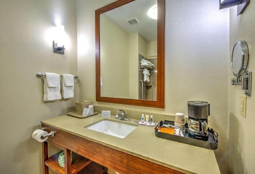스위트 킹사이즈 침대, Comfort Suites Tomball Medical Center