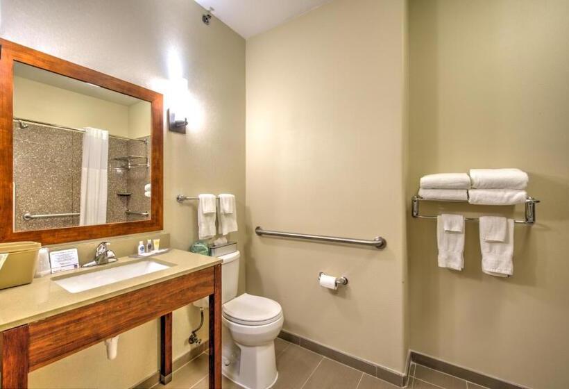 장애인을 위한 스위트, Comfort Suites Tomball Medical Center