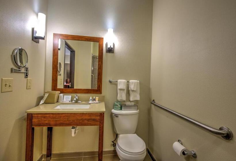 장애인을 위한 스위트, Comfort Suites Tomball Medical Center
