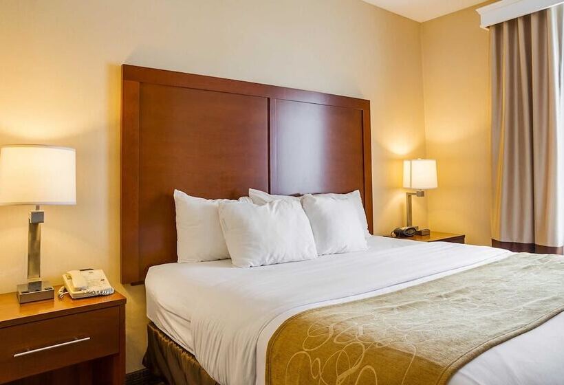 Люкс, Comfort Suites
