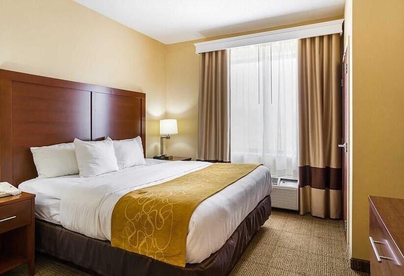 Люкс, Comfort Suites