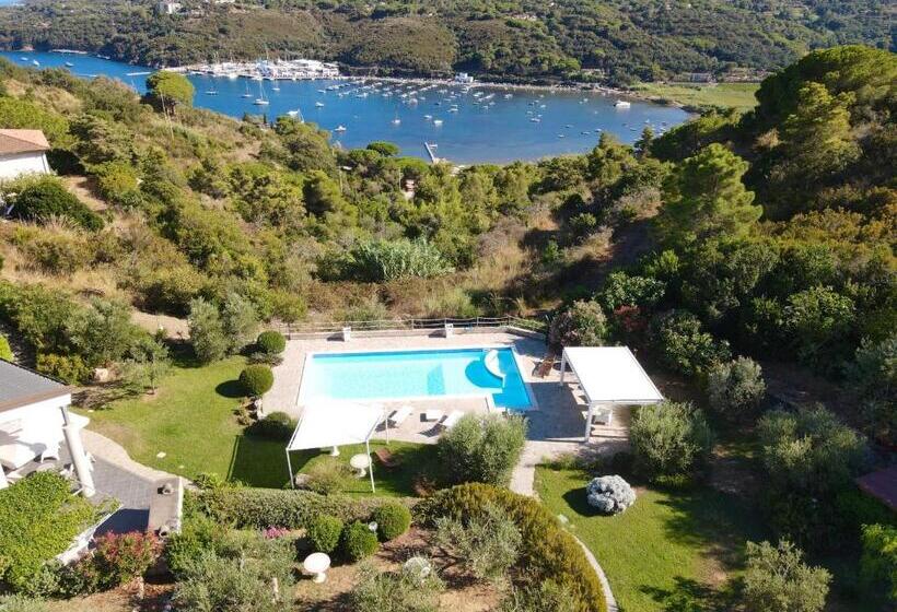 آپارتمان 1 خوابه با چشم‌انداز دریا, Residence Les Oliviers