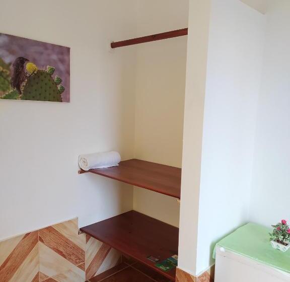 Номер Economy, Hostal Los Flamencos