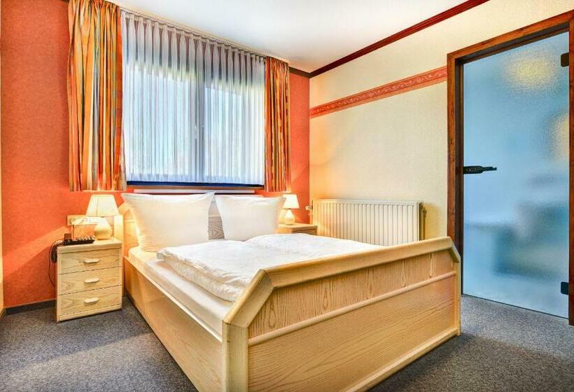 Номер Стандарт, Hôtel Du Lac