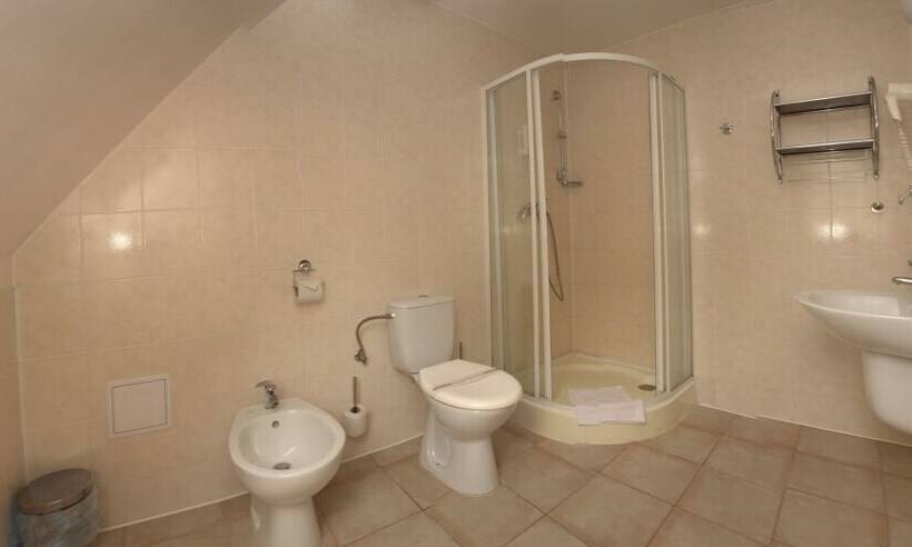 Номер Стандарт Индивидуальный, Wellness Hotel Harrachovka