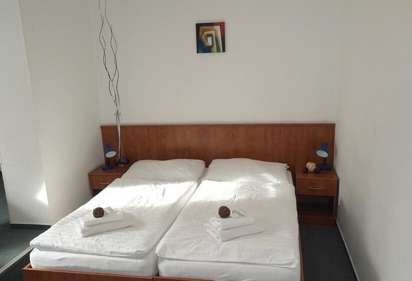 Номер Стандарт Индивидуальный, Wellness Hotel Harrachovka
