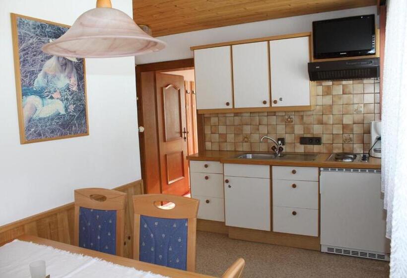 Апартаменты 2 Спальни, Otto Steiner Appartements Pension Ellmau & Wilder Kaiser