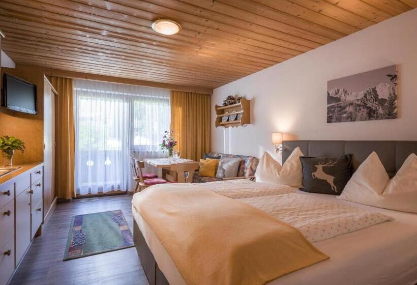 Апартаменты 1 Спальня, Otto Steiner Appartements Pension Ellmau & Wilder Kaiser