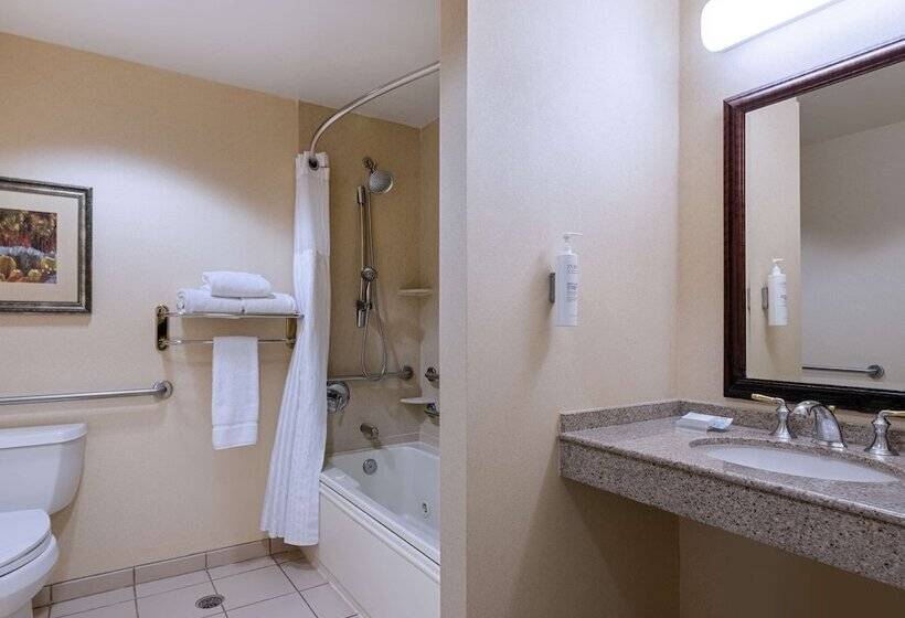 适合残疾人使用的标准间, Hilton Garden Inn Las Vegas Strip South