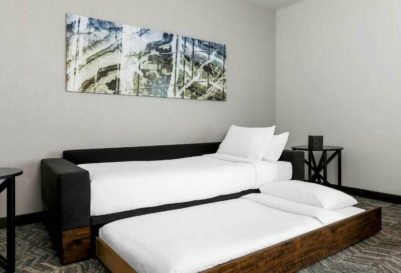 マウンテンビュースイート, Springhill Suites By Marriott San Jose Fremont