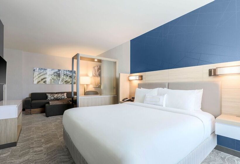 スイート, Springhill Suites By Marriott San Jose Fremont