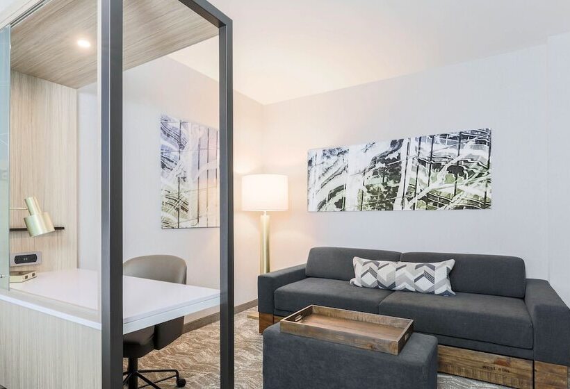身障者適用スイートルーム, Springhill Suites By Marriott San Jose Fremont