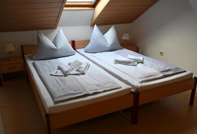 Апартаменты 1 Спальня, Altstadthotel Garni Frankfurter Hof