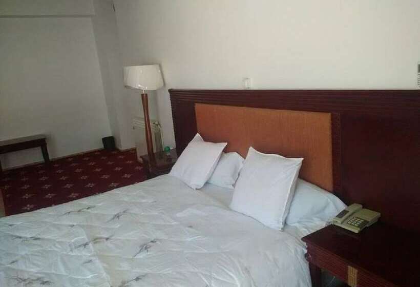 اتاق استاندارد, Mimosa Palace Annaba