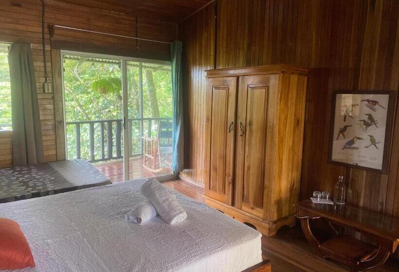 스탠다드 테라스 룸, Birds & Breakfast Costa Rica