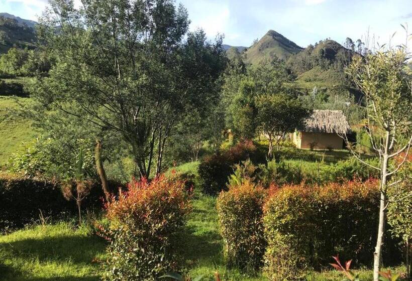 Бунгало Deluxe, Campestre Mirador Calopala
