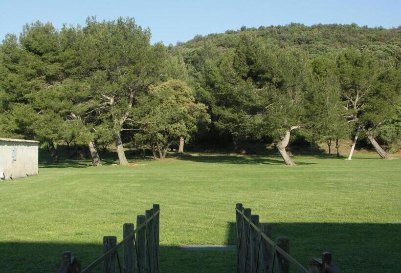 Апартаменты 1 Спальня с Террасой, Domaine Saint Martin