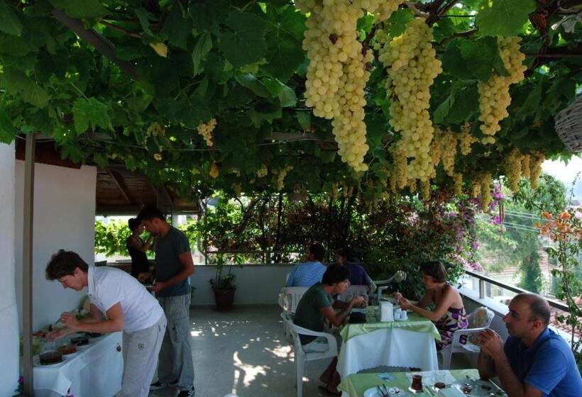 اتاق استاندارد, Rose Pension