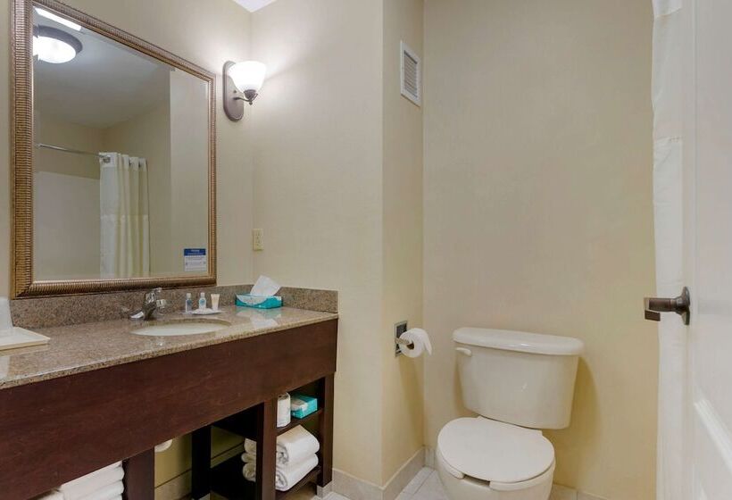Люкс Кровать Кинг, Comfort Suites Savannah North