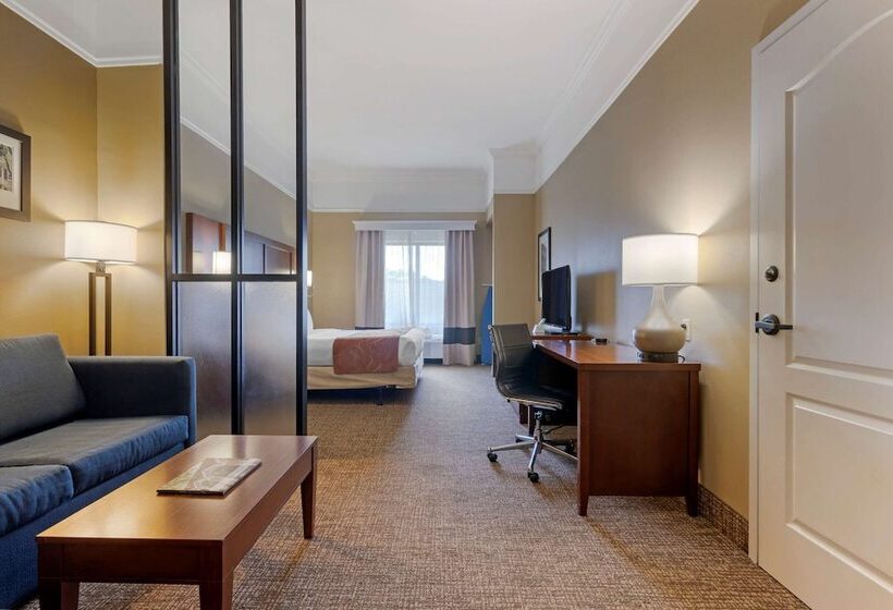 Люкс Кровать Кинг, Comfort Suites Savannah North