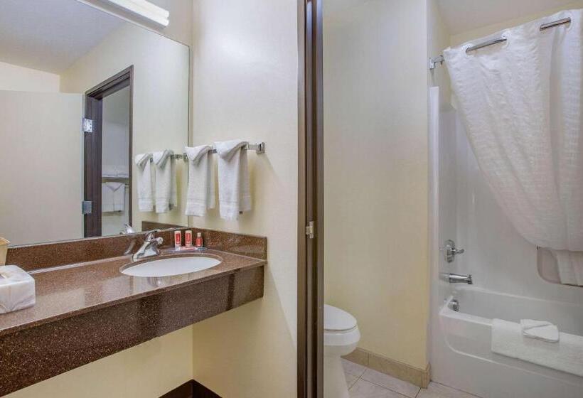 스탠다드 룸 더블 침대 2개, Econo Lodge Inn & Suites Fairgrounds