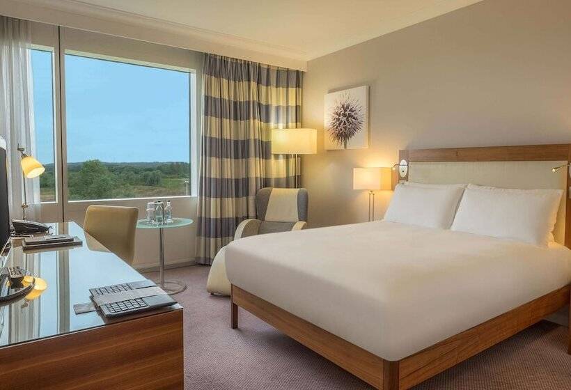 سوییت جونیور, Hilton Reading