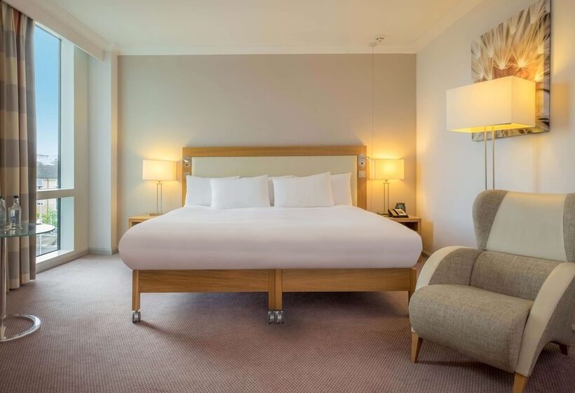 اتاق لوکس, Hilton Reading