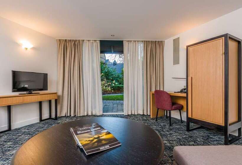 اتاق استاندارد با تخت بزرگ, Hilton Reading