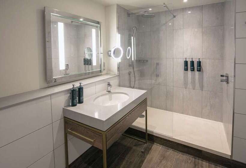 اتاق استاندارد با تخت بزرگ, Hilton Reading